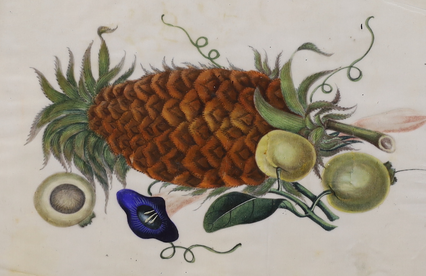 19th century Chinese School, pair of pith paper paintings, Still lifes of fruit, 16 x 23cm, housed in decorative frames